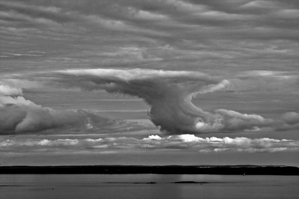A dramatic column of storm cloud building over a calm bay, black and white