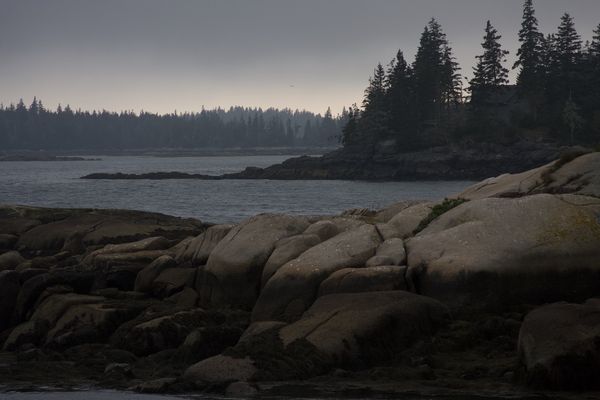 Granite ledges and a spruce treeline along the Maine coast at dusk