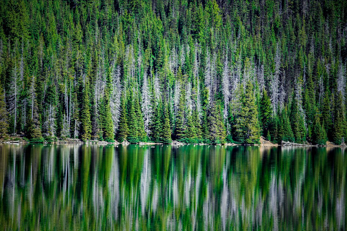 Sparks Lake